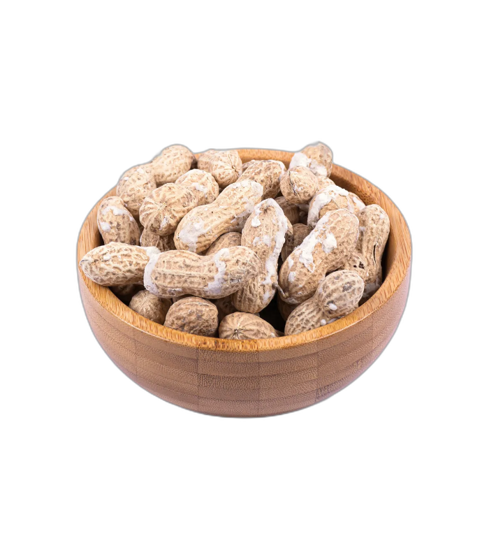 بادام زمینی برشته آستانه اعلی