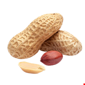 بادام زمینی